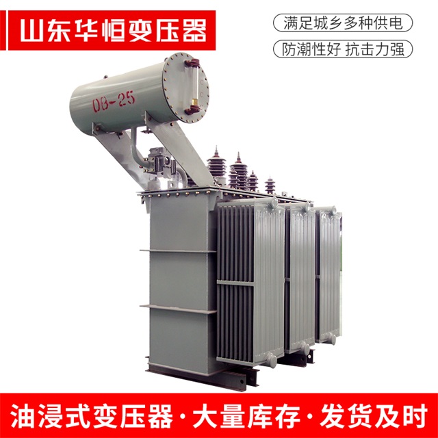 S11-10000/35金湖金湖金湖电力变压器厂家