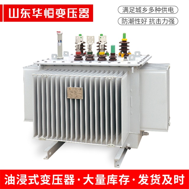 S13-10000/35金湖金湖金湖电力变压器